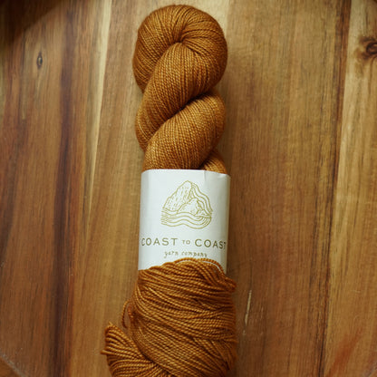 Destash / Coast to Coast Yarn Classic Sock / “Scutellinia”
