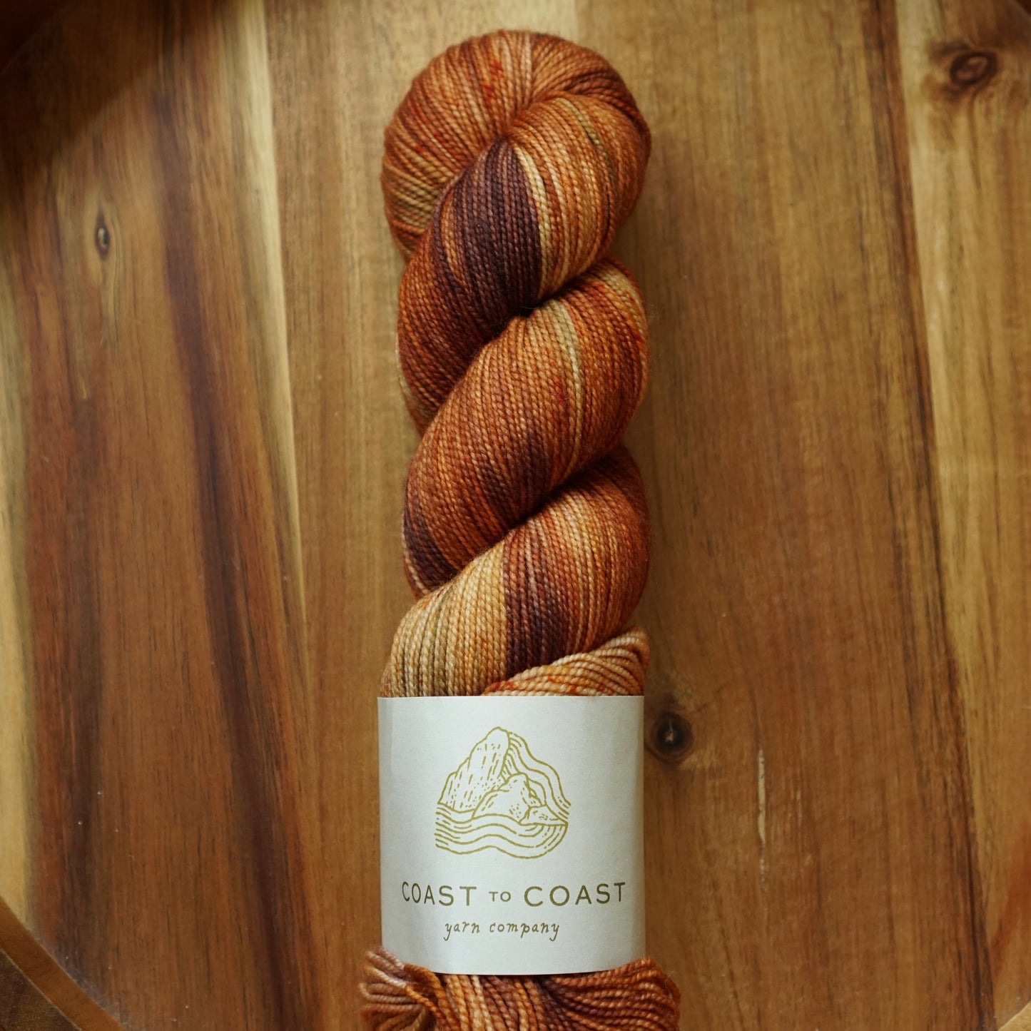Destash / Coast to Coast Yarn Twist Sock / “Laetiporus”