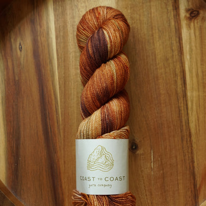 Destash / Coast to Coast Yarn Twist Sock / “Laetiporus”