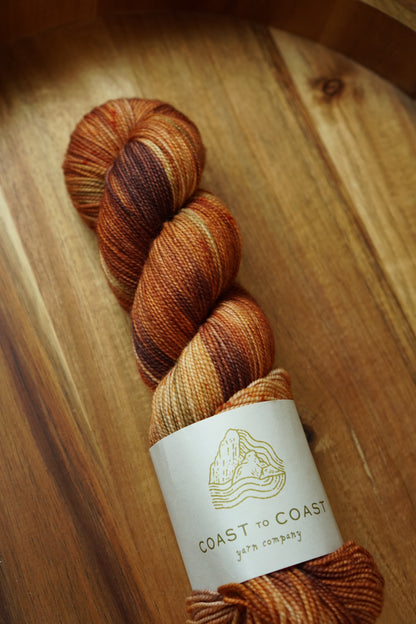 Destash / Coast to Coast Yarn Twist Sock / “Laetiporus”