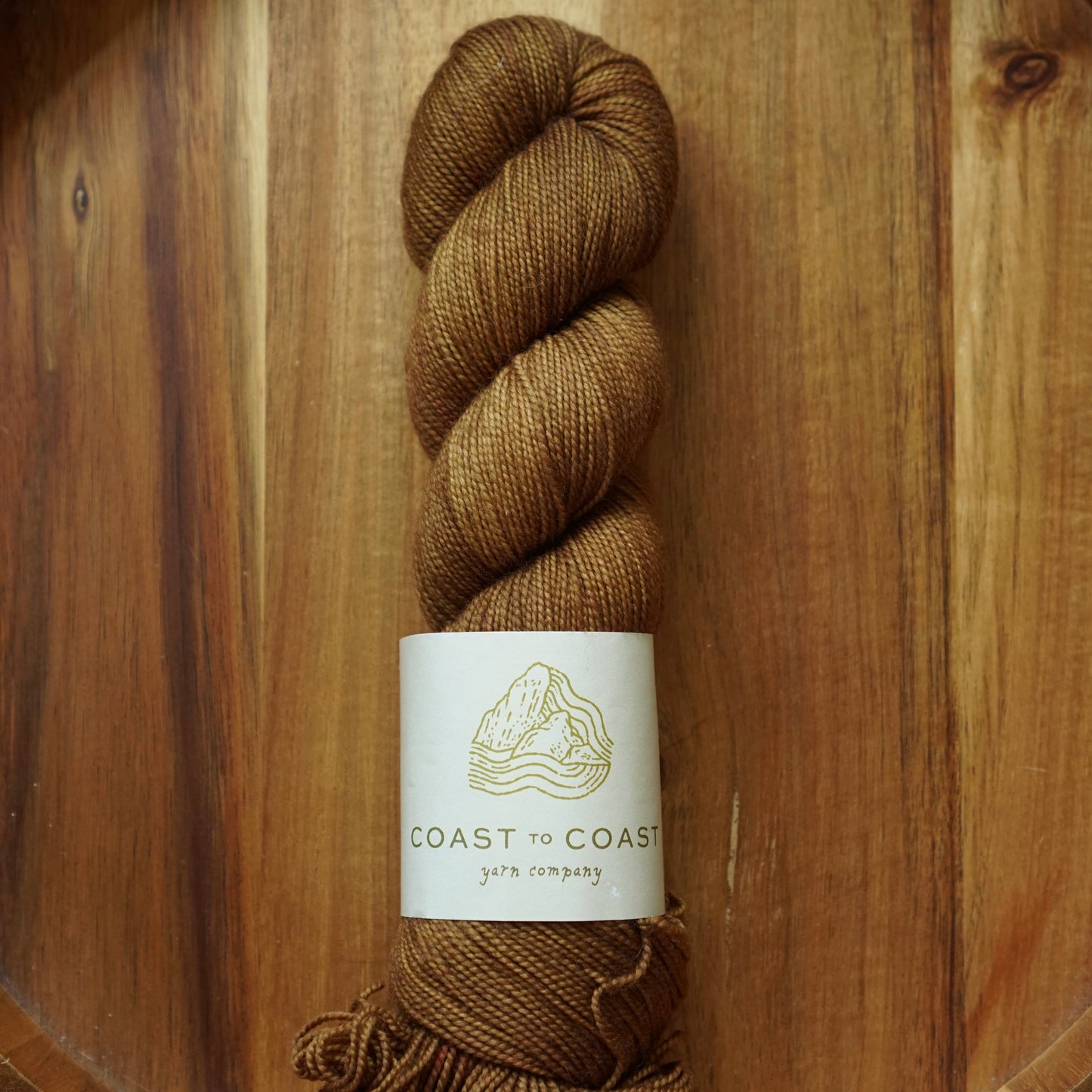 Destash / Coast to Coast Yarn Twist Sock / “Rust”
