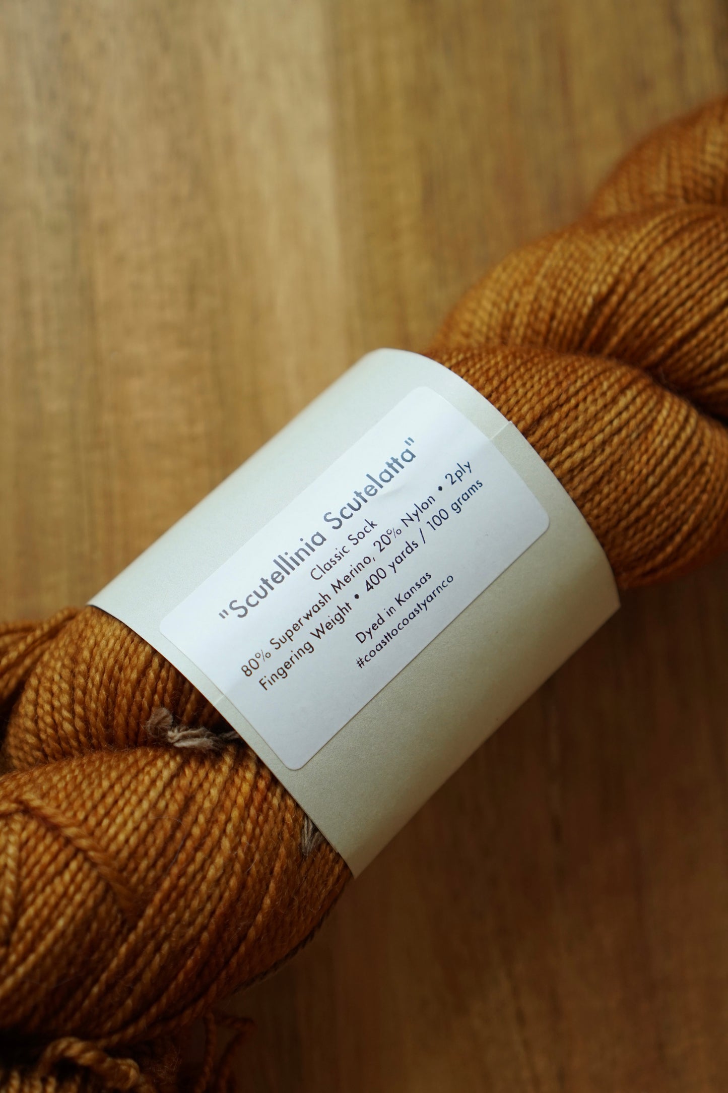 Destash / Coast to Coast Yarn Classic Sock / “Scutellinia”