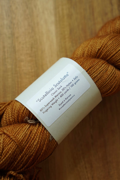 Destash / Coast to Coast Yarn Classic Sock / “Scutellinia”