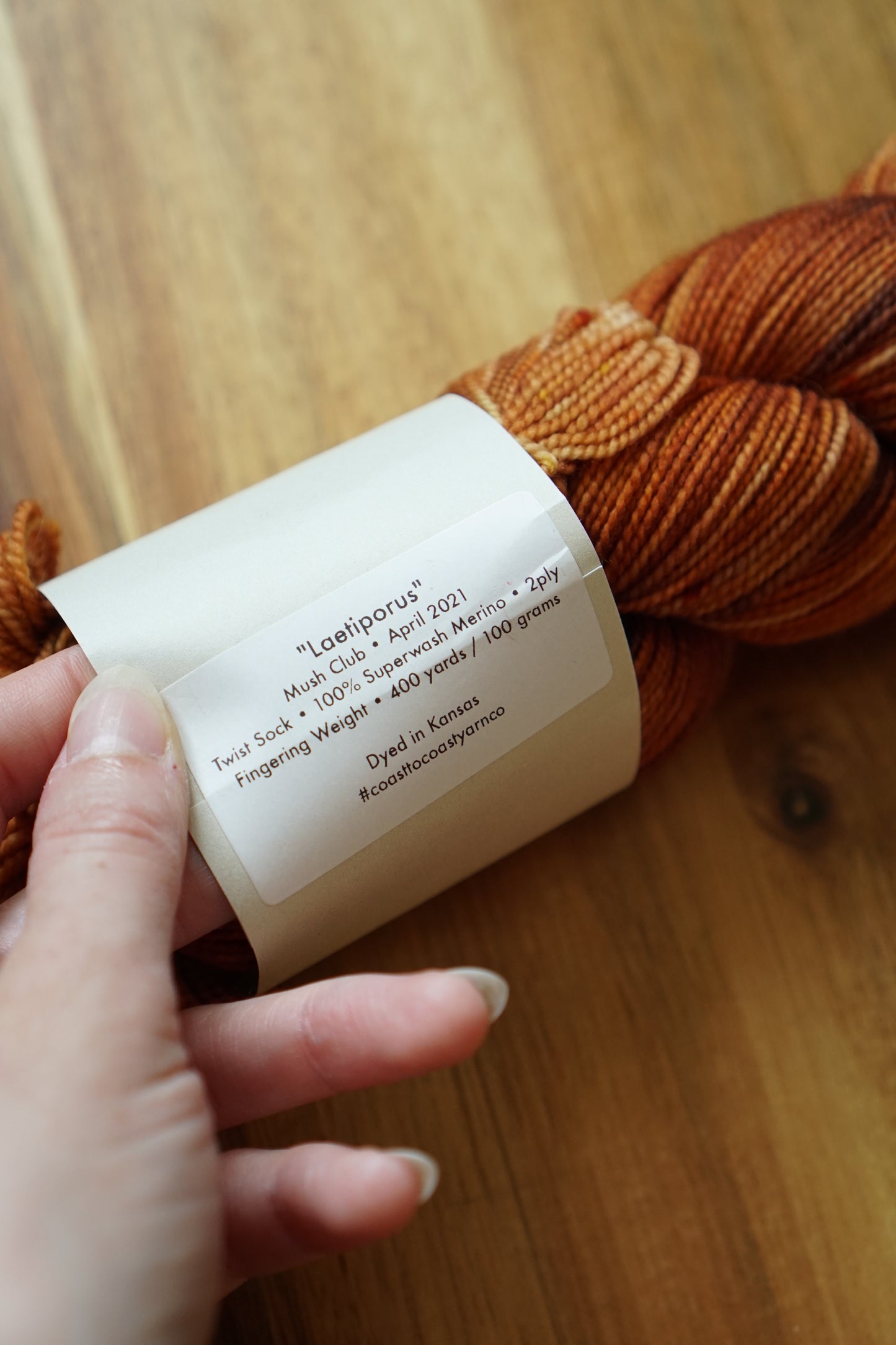 Destash / Coast to Coast Yarn Twist Sock / “Laetiporus”