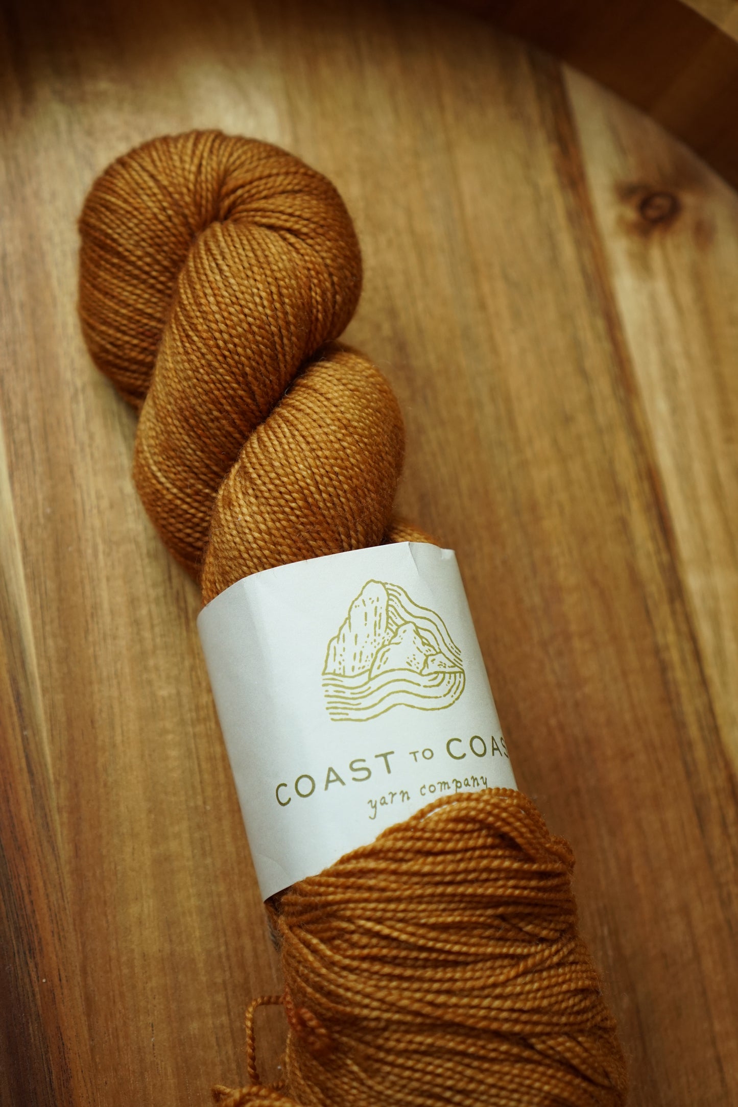 Destash / Coast to Coast Yarn Classic Sock / “Scutellinia”